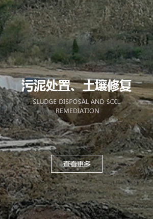 污泥處置、土壤修復(fù) 