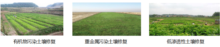 污泥處置、土壤修復 