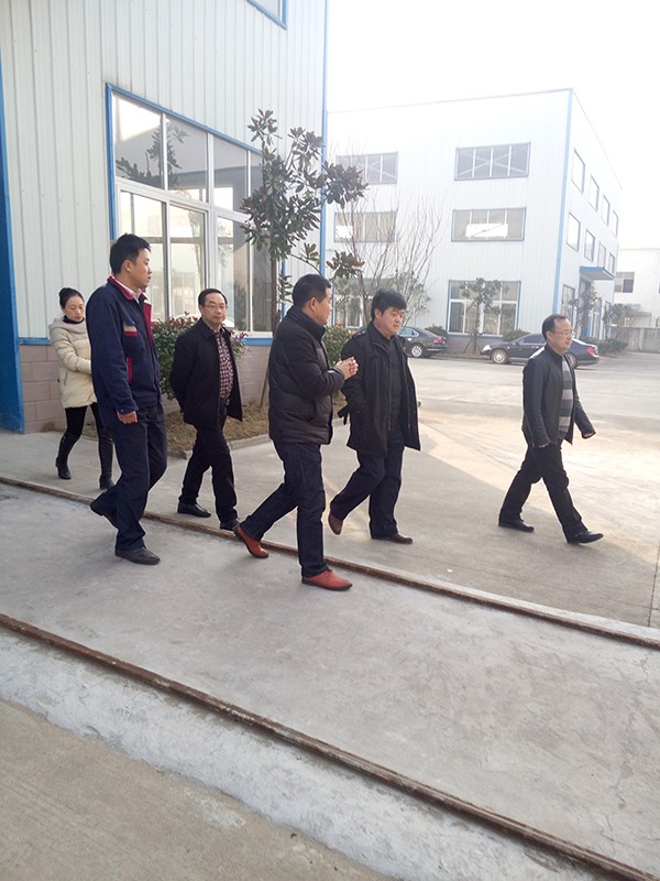 安慶市紀委領導來我司督查縣招商引資項目進展情況