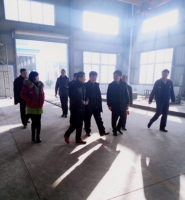 安慶市紀委領導來我司督查縣招商引資項目進展情況